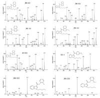 8 種常見合成大麻素在全掃描模式下的質譜圖