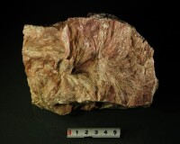 中國地質博物館滑石藏品圖片