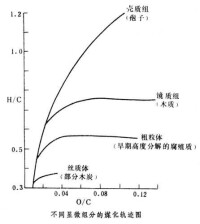 煤級