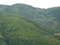 雲南省昆明市宜良縣湯池鎮莊子村自然資源