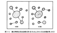 集合種群