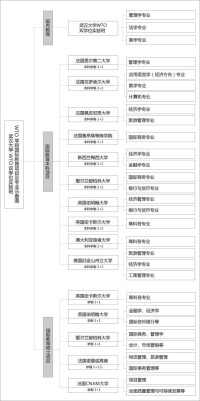 武漢大學wto學院