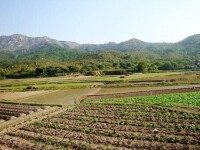 葵山村[福建省泉州市南安市洪瀨鎮葵山村]