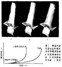 粉末冶金高溫合金