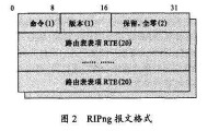 圖2 RiPng報文格式