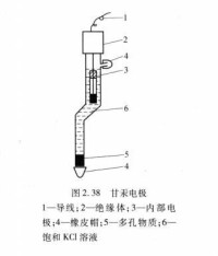 甘汞電極