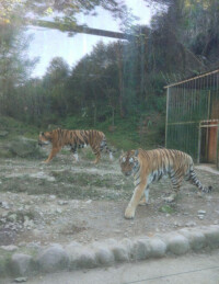 金華動物園