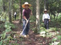 羅坪鎮長水村農林作業