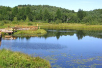 滹沱河城市森林公園