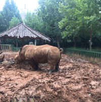 鄭州動物園