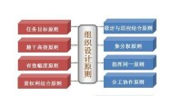 組織設計原則