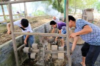 文林村[浙江省衢州市龍游縣湖鎮鎮下轄村]