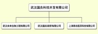 武漢國灸科技開發有限公司