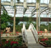 天津熱帶植物觀光園