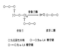 普魯蘭酶