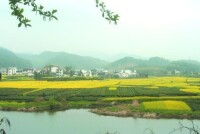 南陵鄉村風景