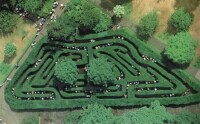 英國最古老的樹籬迷宮