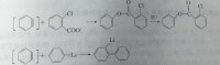 苯炔的親電加成反應