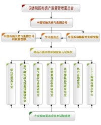 提高石油採收率國家重點實驗室（中國石油勘探開發研究院）