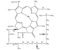 葉綠素a的分子結構圖
