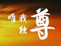 唯我獨尊[漢語詞語]