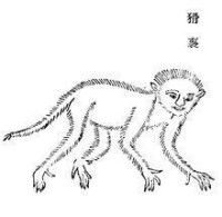 猾褢以及山海經其他動物圖冊