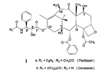 Ia為紫杉醇結構，Ib為多烯紫杉醇結構