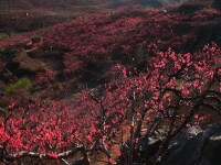 九連山圖片