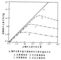 生物氣