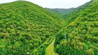 六盤山森林公園美景