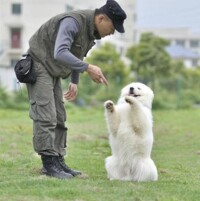 訓犬師