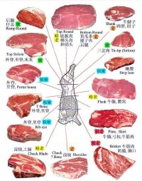 牛排各部位名稱