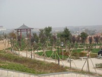 倉頡文化公園