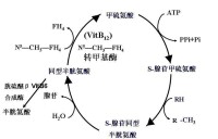 合併圖冊