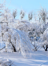 查干湖冬季封凍景象