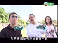 TVB無線電視
