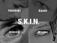 加入新團S.K.I.N