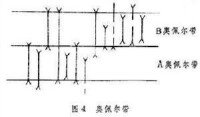 生物地層學