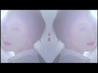 《矛盾》MV