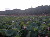 杭州西湖風景區