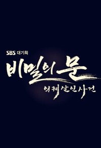 秘密之門[韓國2014年金亨植執導SBS電視台月火劇]