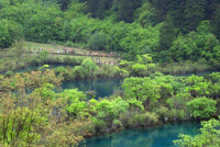 高山森林公園