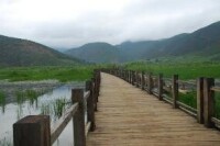 瀘沽湖情人橋