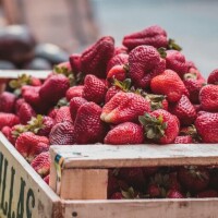 維生素H草莓來源