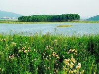 太平鎮安樂湖