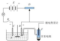 電化學極化