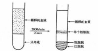 密度梯度離心法