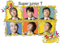 Super Junior-T