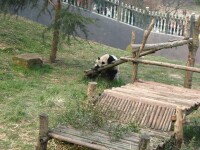 南京紅山森林動物園
