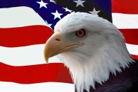 美國國旗與國鳥